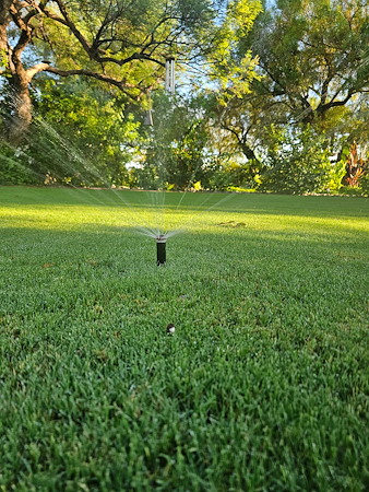 Drip vs. Sprinklers: Which Do You Need?